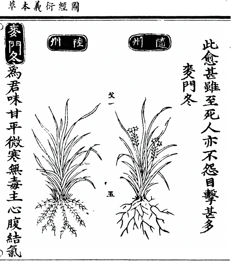 第 684 页