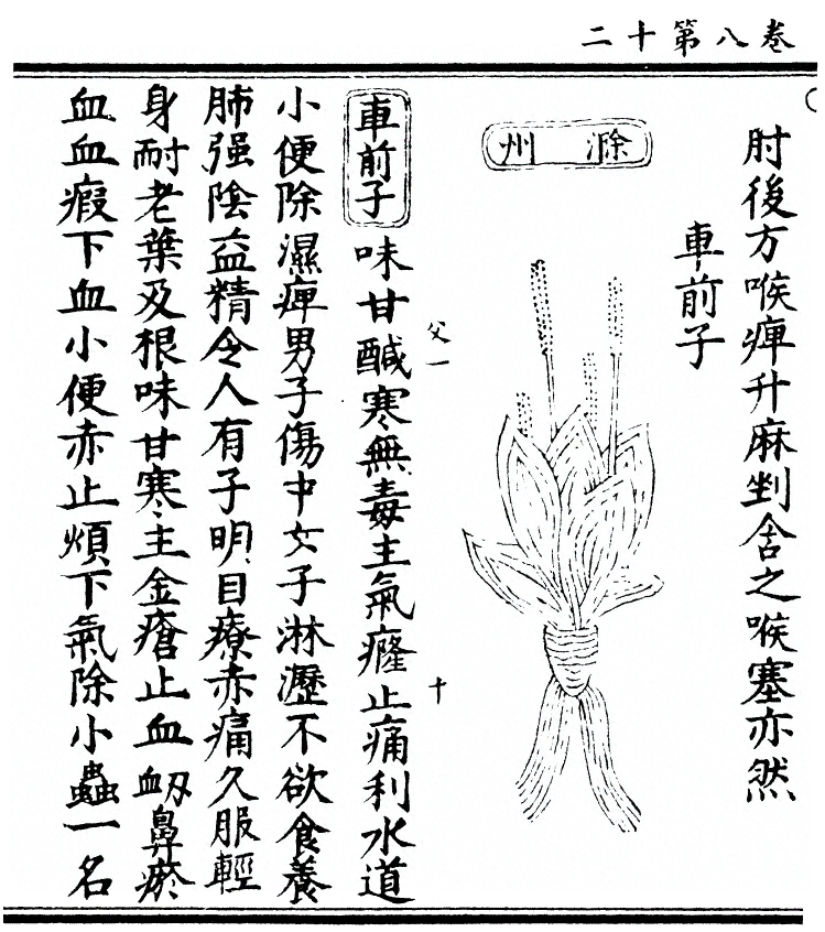 p. 697
