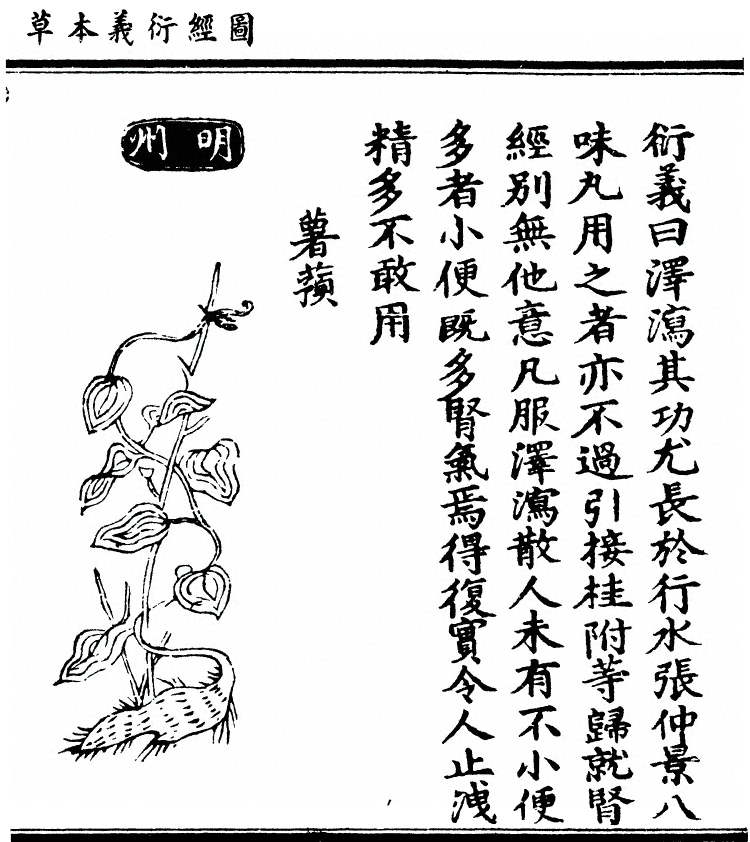 p. 713