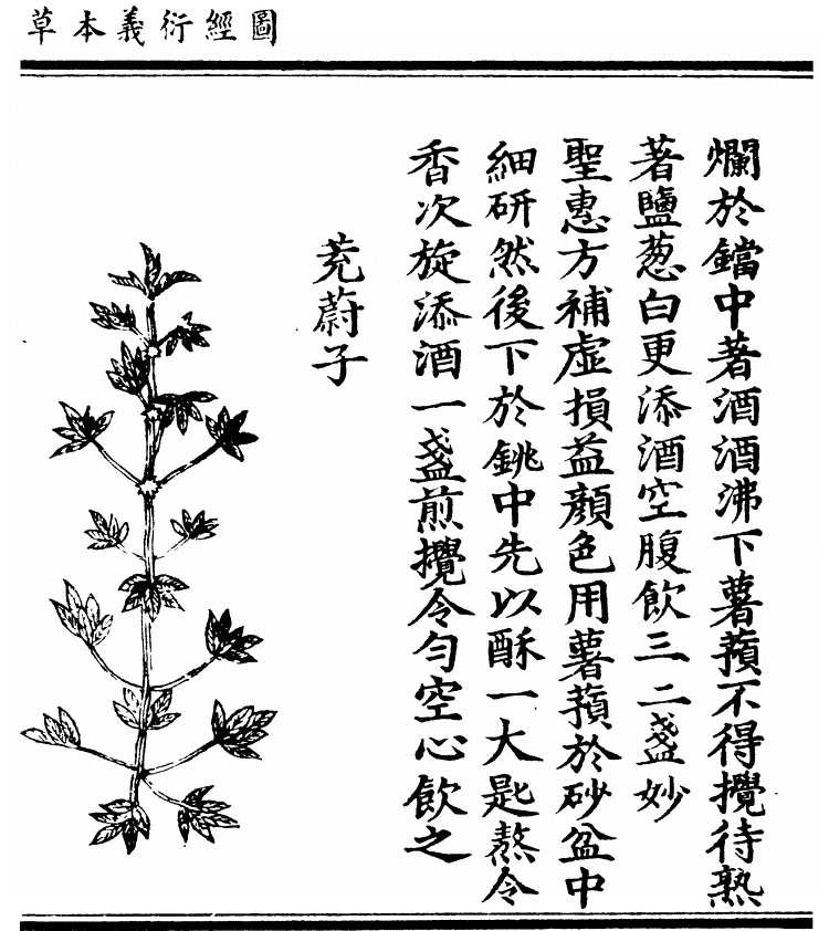 p. 717