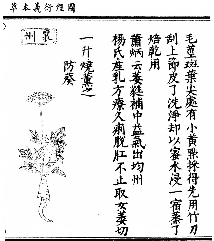 第 725 页