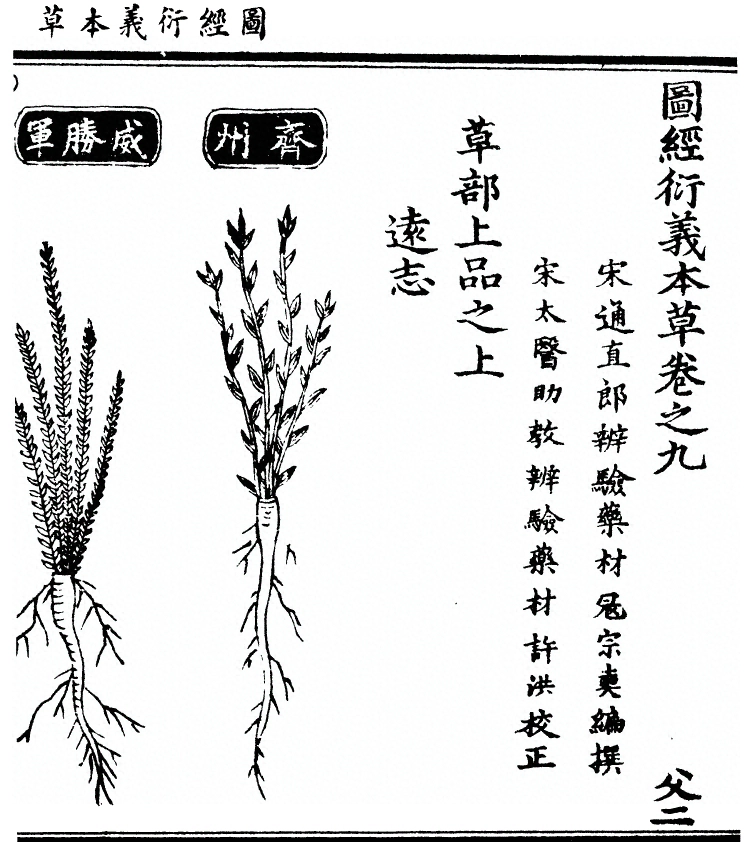 第 729 页