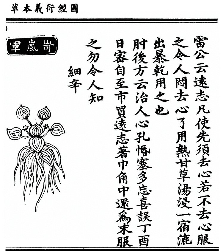 第 733 页