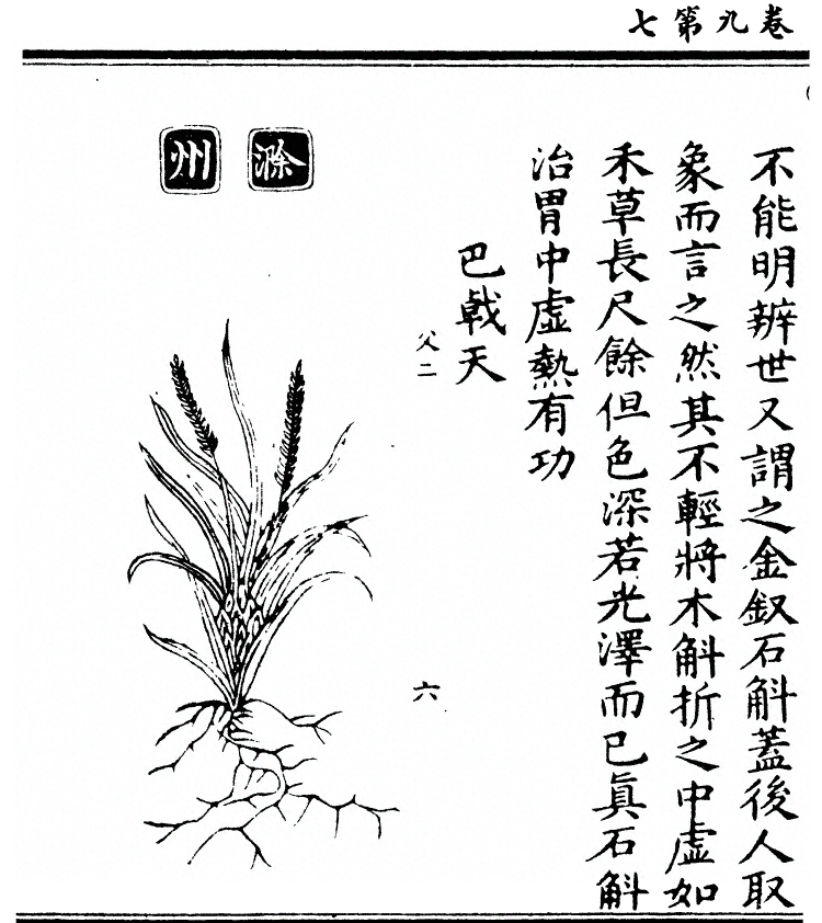 第 742 页