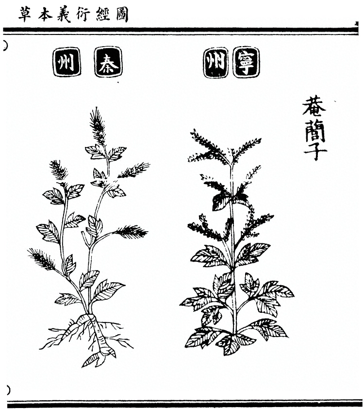 第 751 页