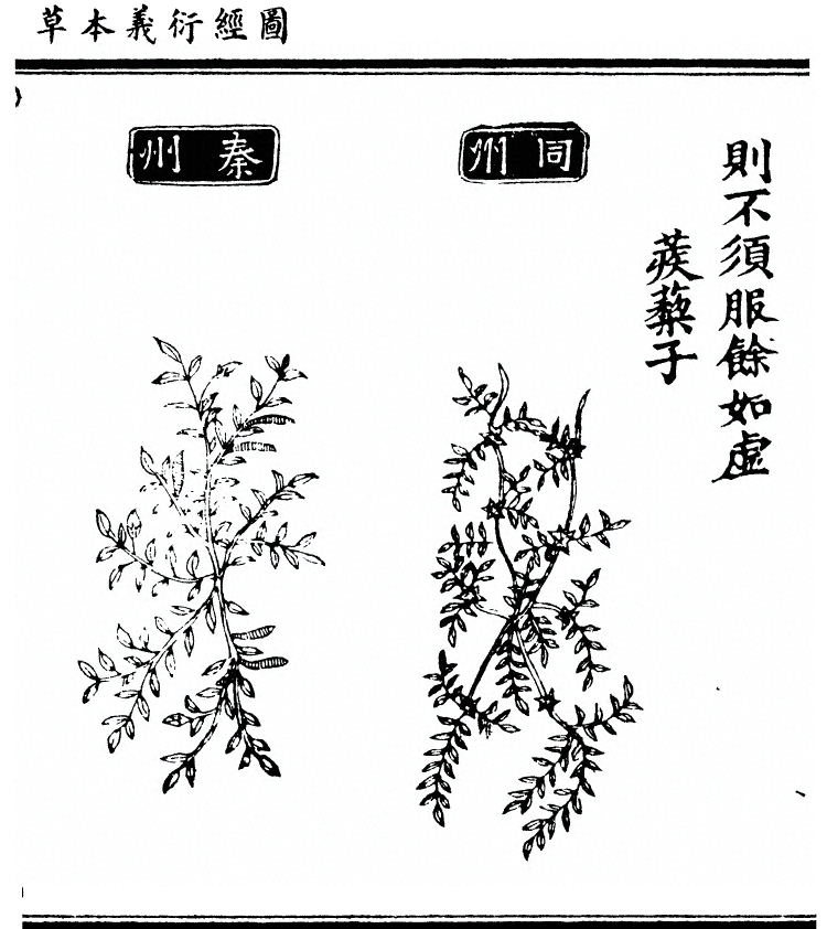 第 794 页