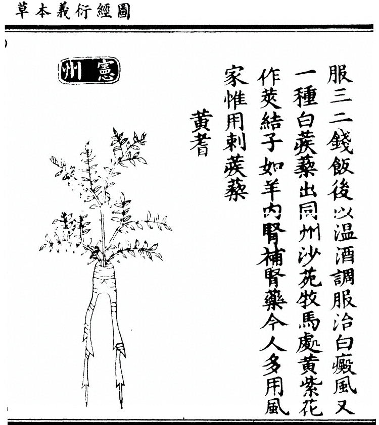 第 800 页