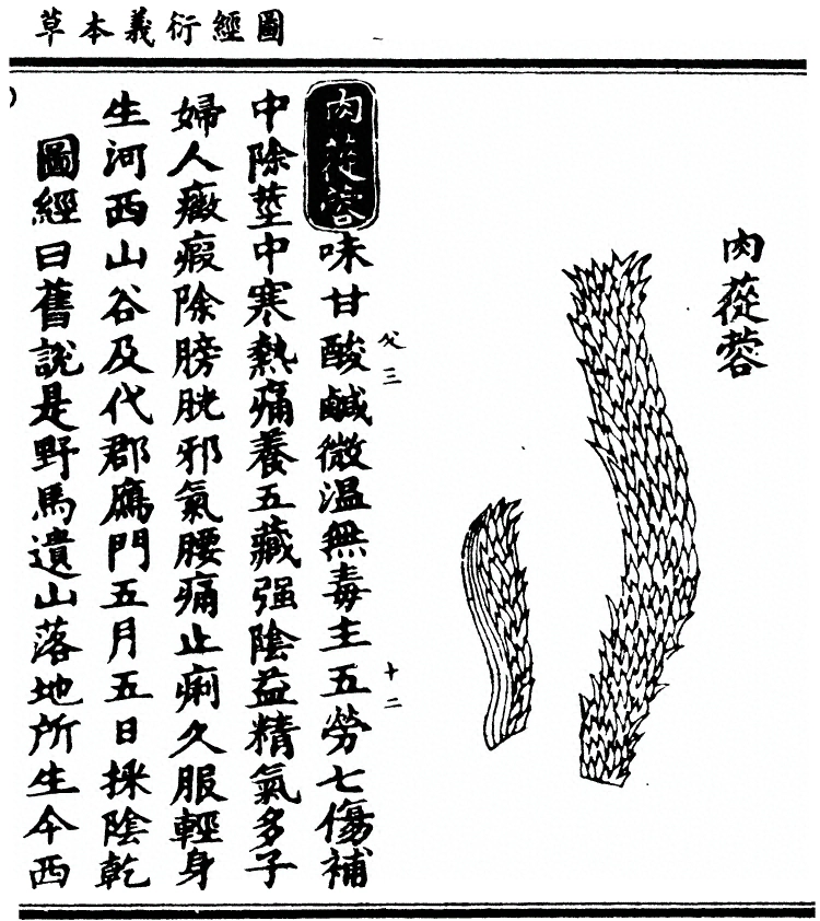 第 806 页