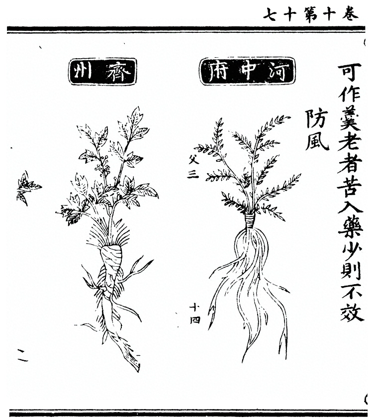 第 811 页