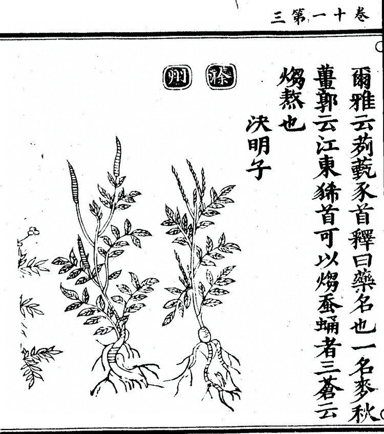第 854 页