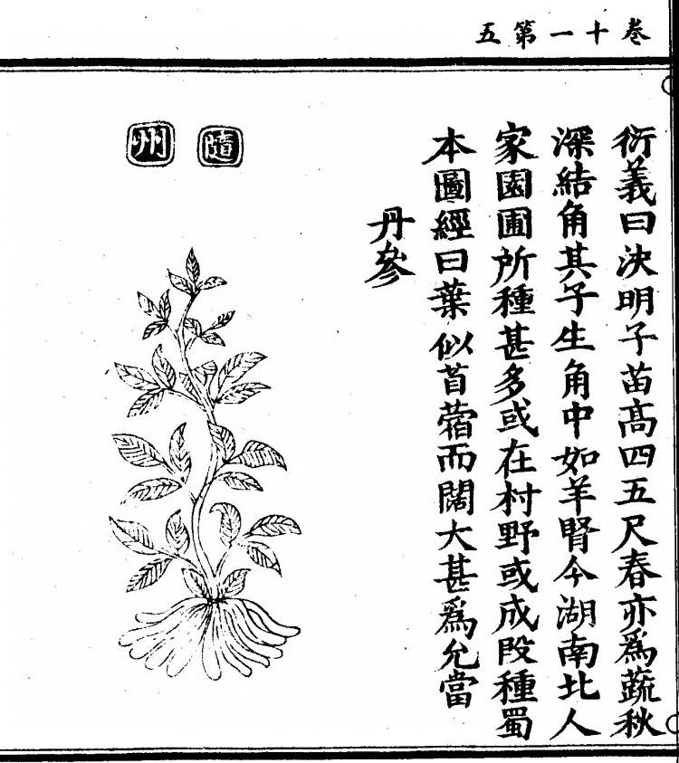 第 858 页