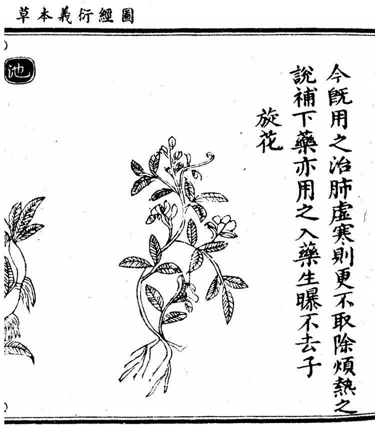 第 871 页