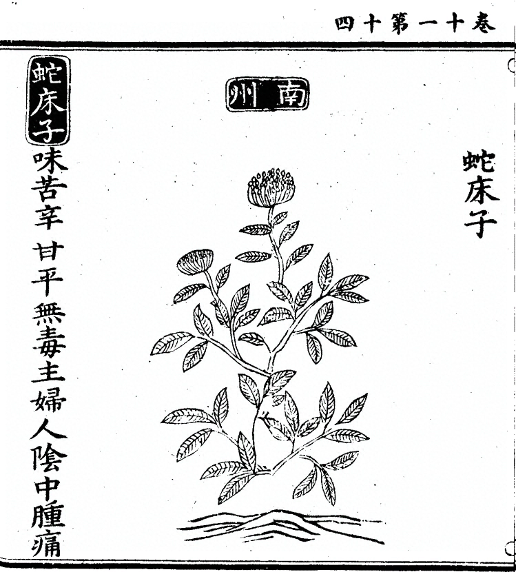 第 876 页
