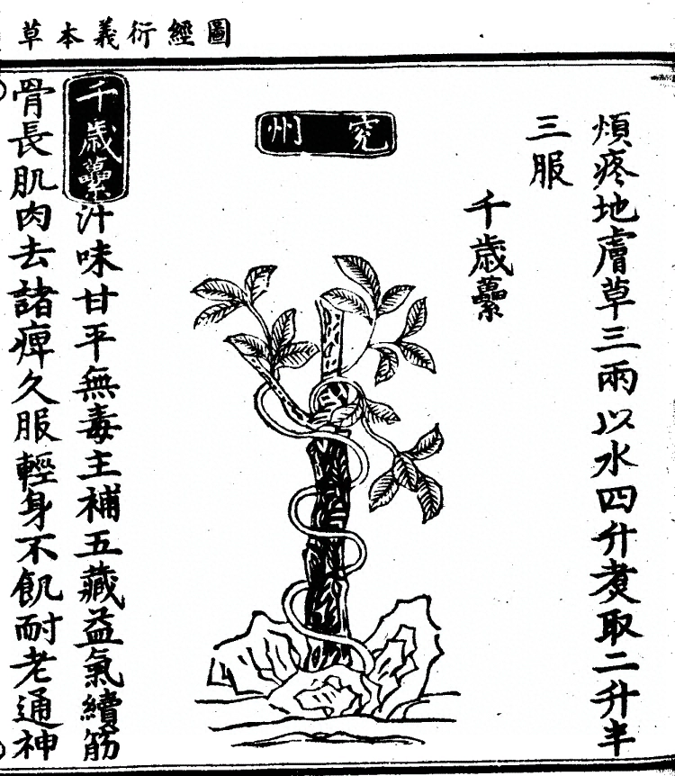 第 885 页