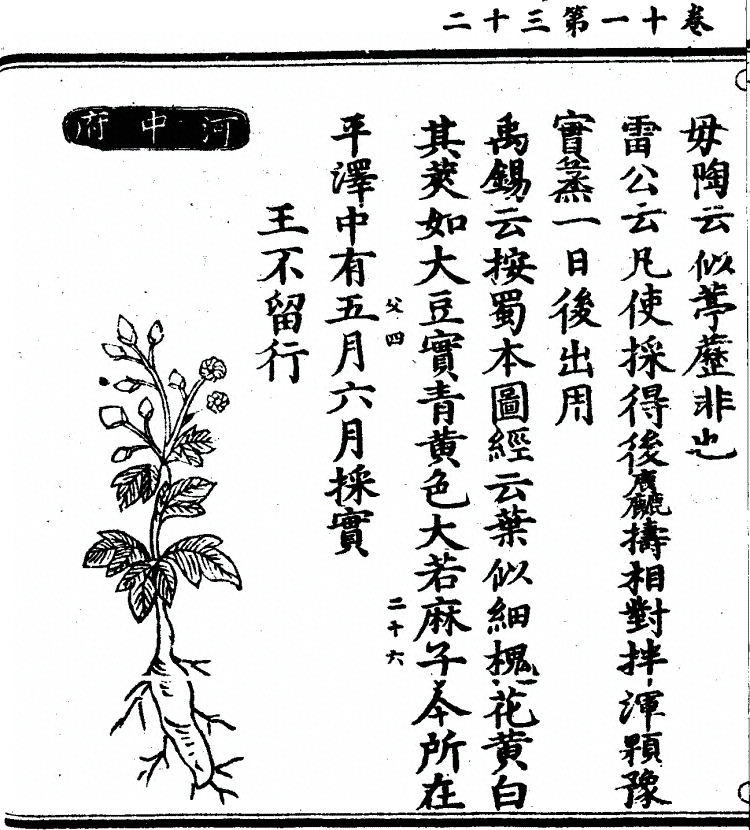 第 912 页