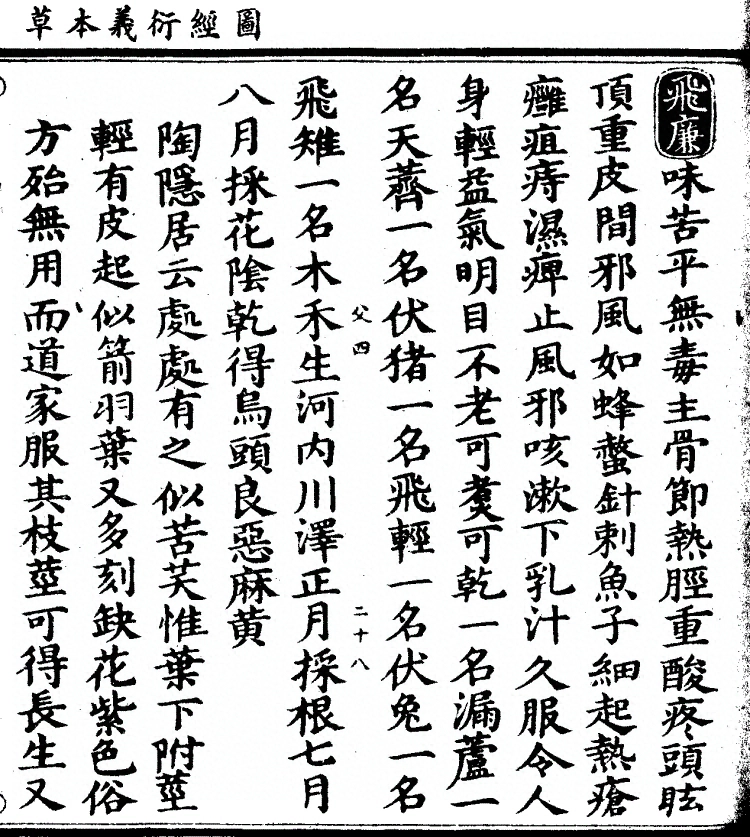 第 917 页