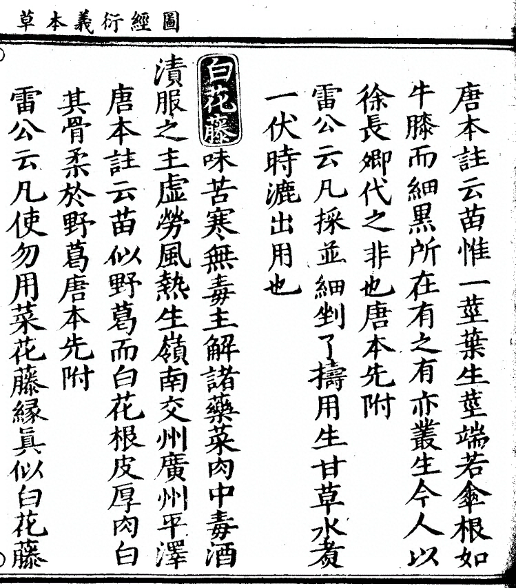 第 925 页
