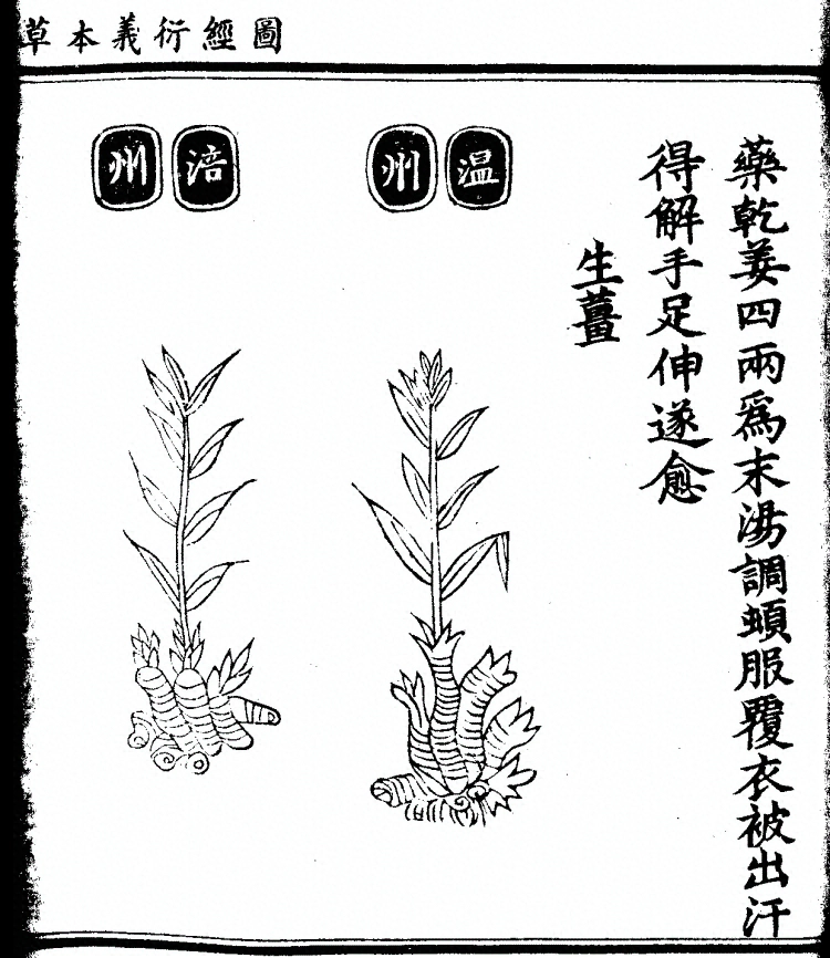 第 933 页