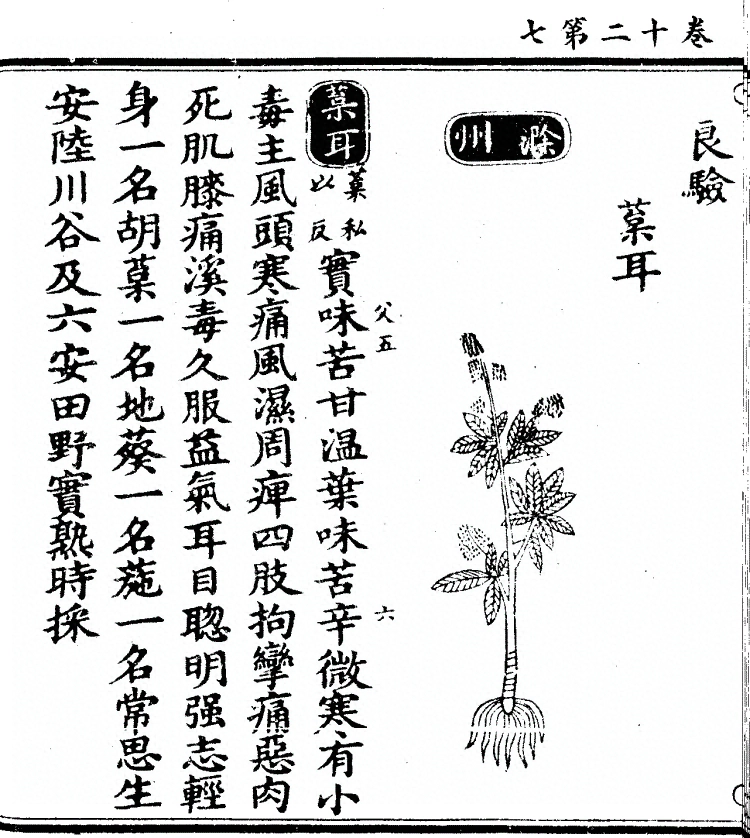 第 942 页