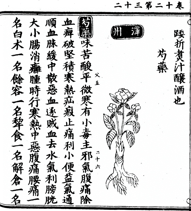 第 992 页