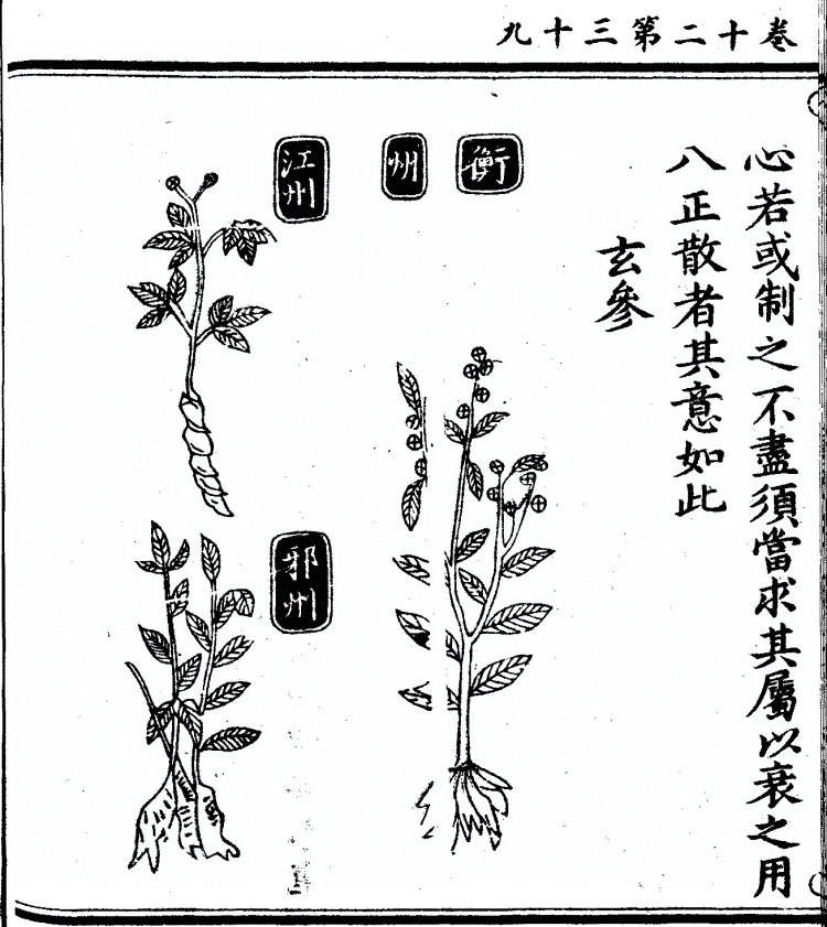 第 1006 页