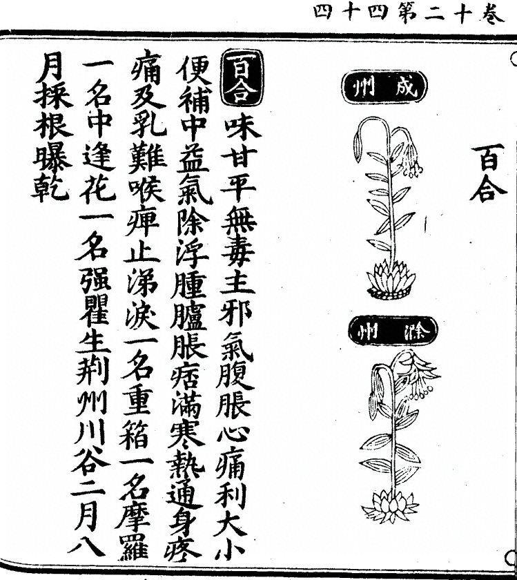 第 1016 页