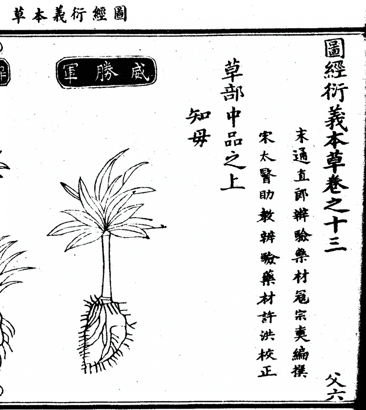 第 1021 页