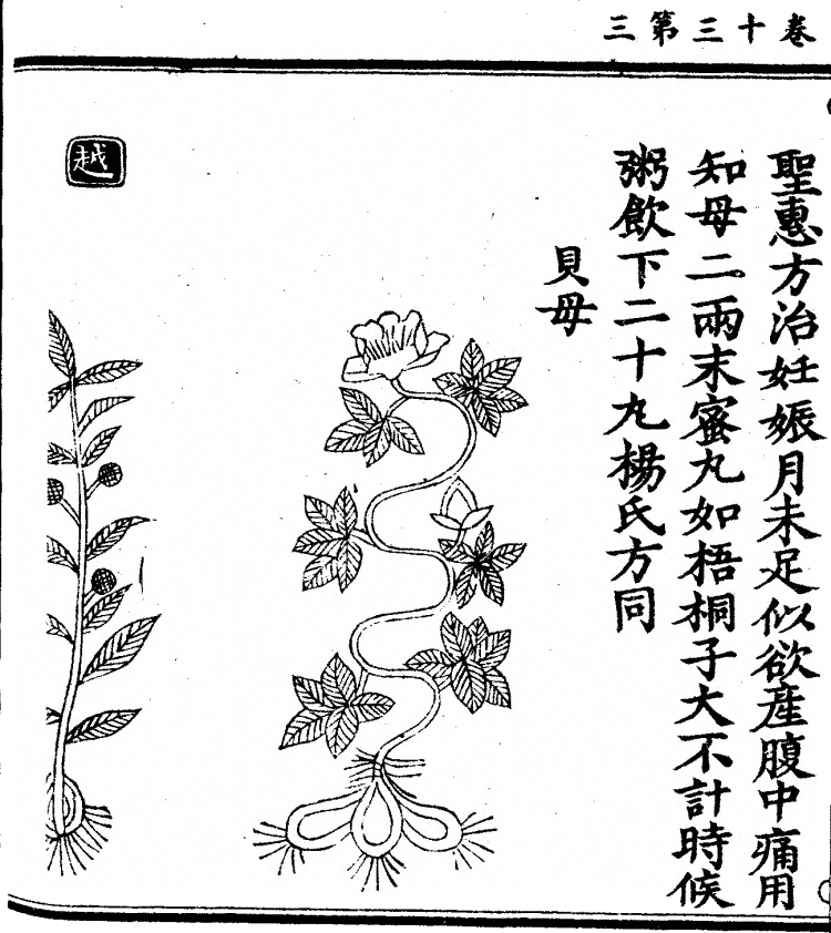 第 1026 页