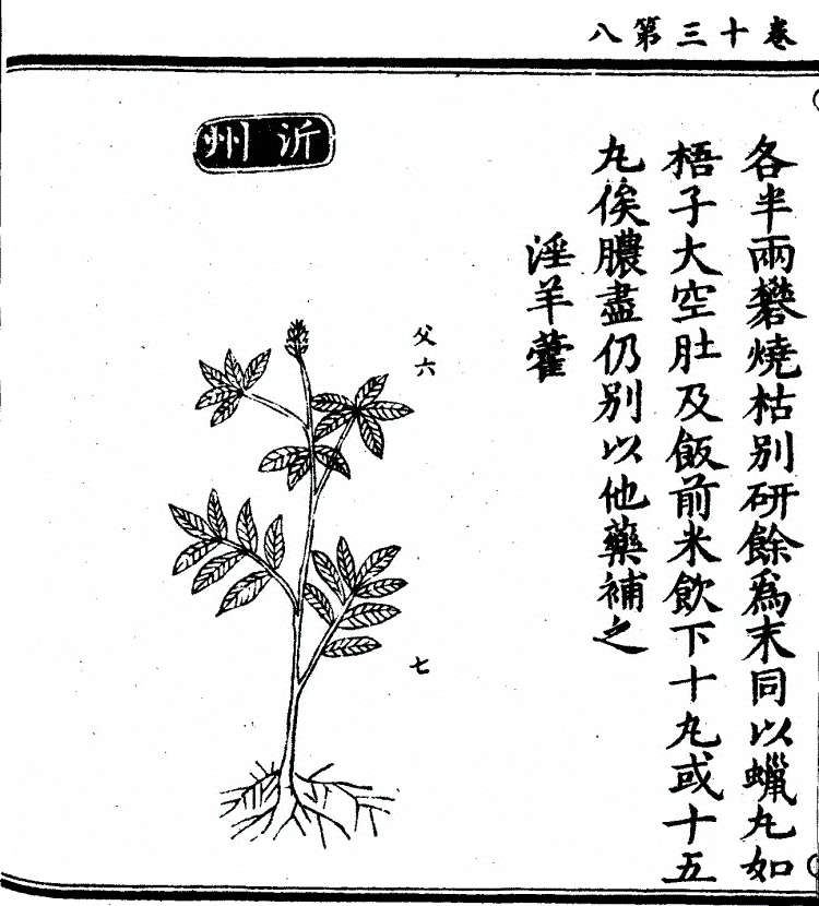 p. 1036