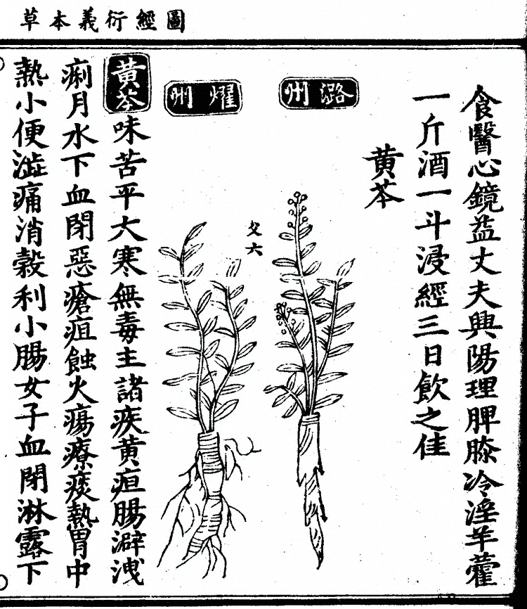 第 1041 页