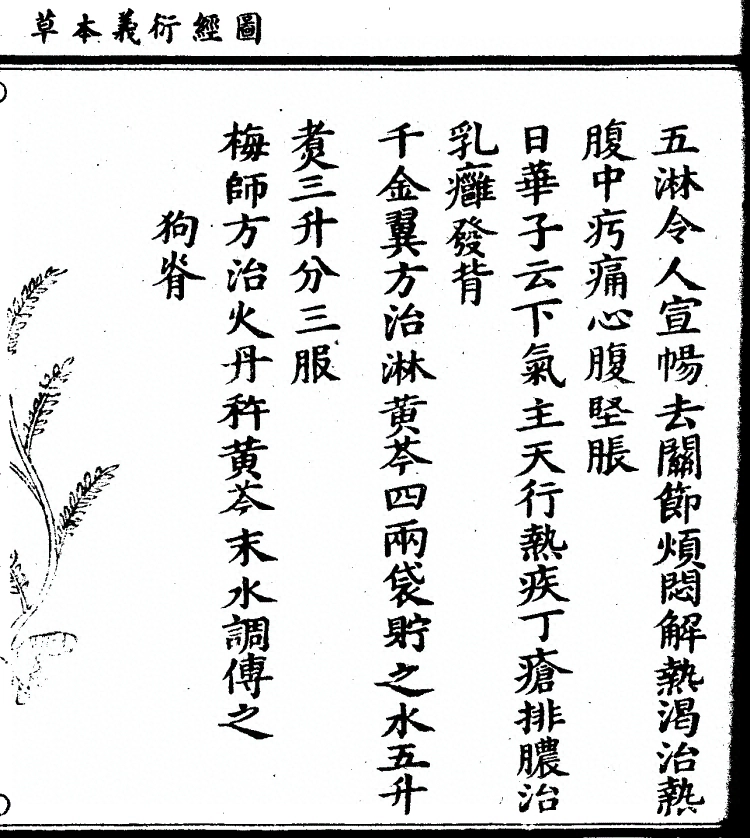 p. 1045