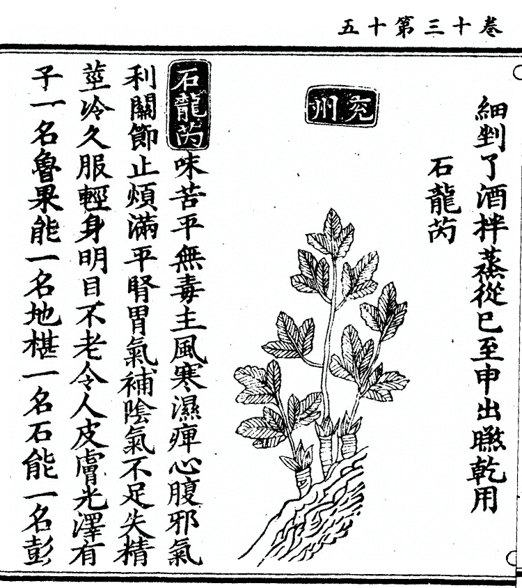 第 1050 页