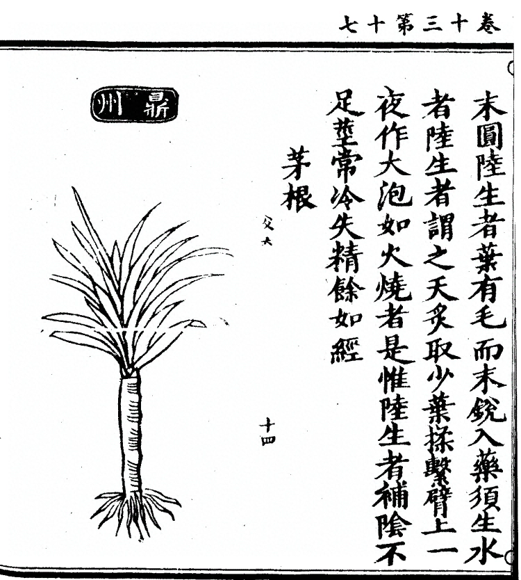 第 1054 页