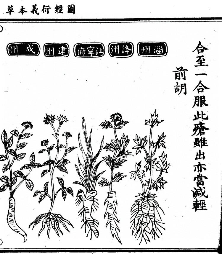 第 1067 页