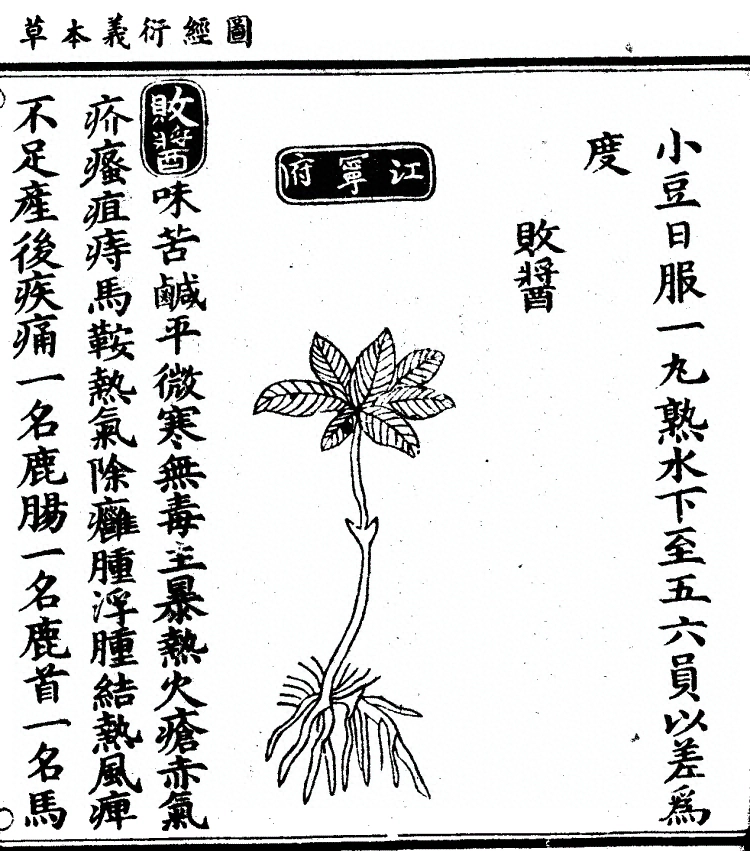 第 1071 页