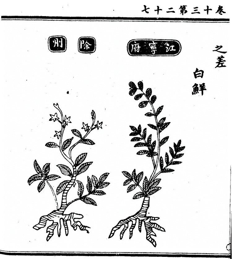 第 1074 页