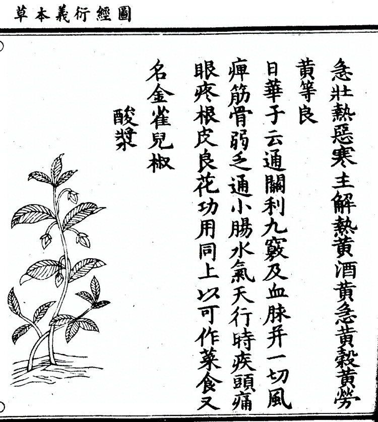 第 1077 页