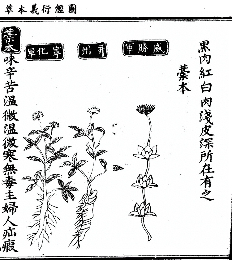 p. 1083