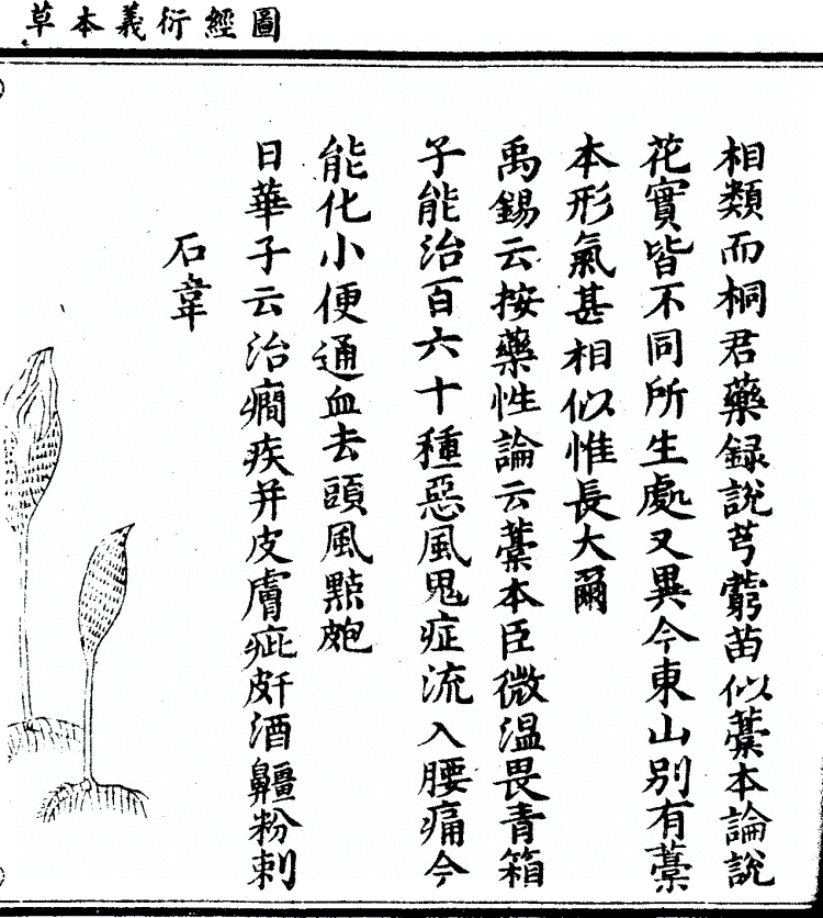 第 1085 页