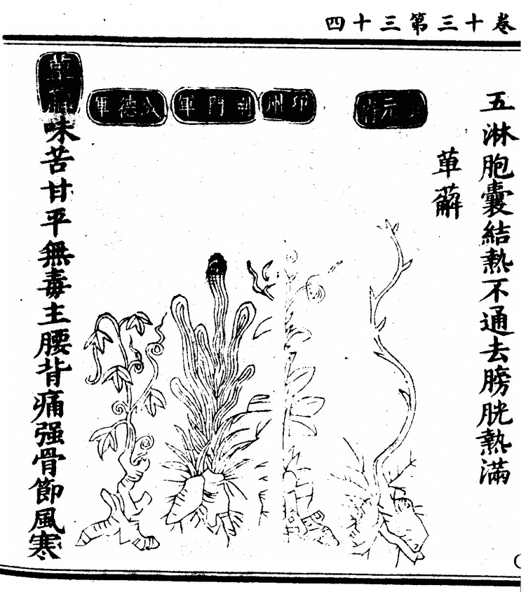 p. 1088