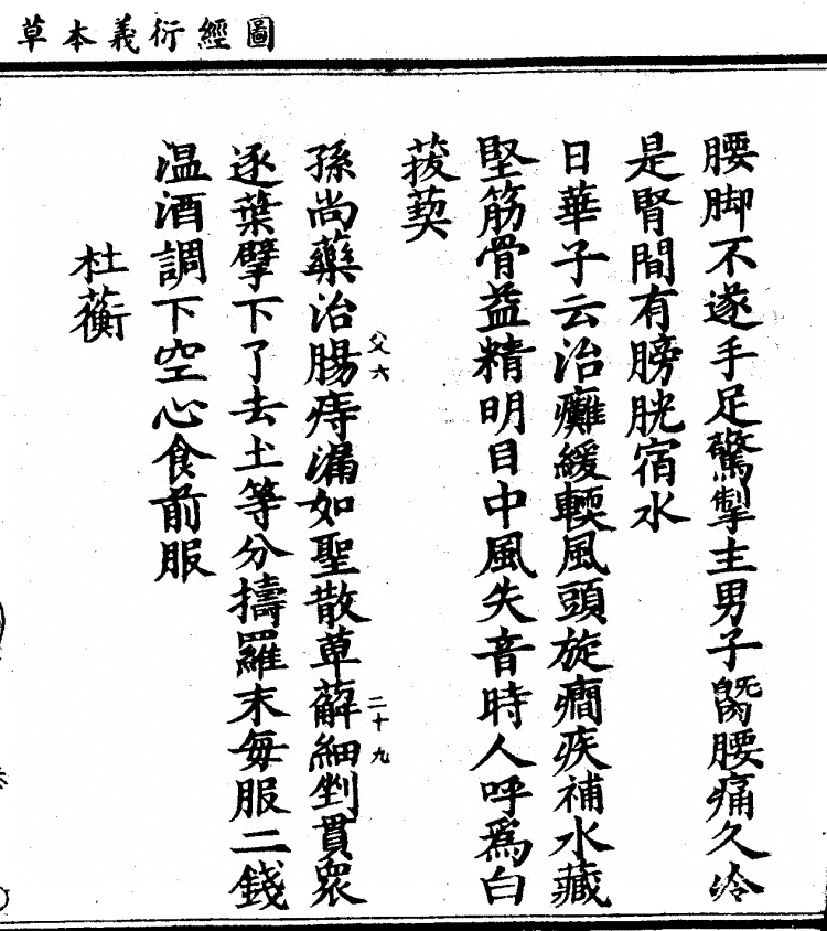 第 1091 页