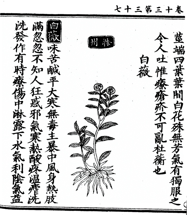 第 1094 页