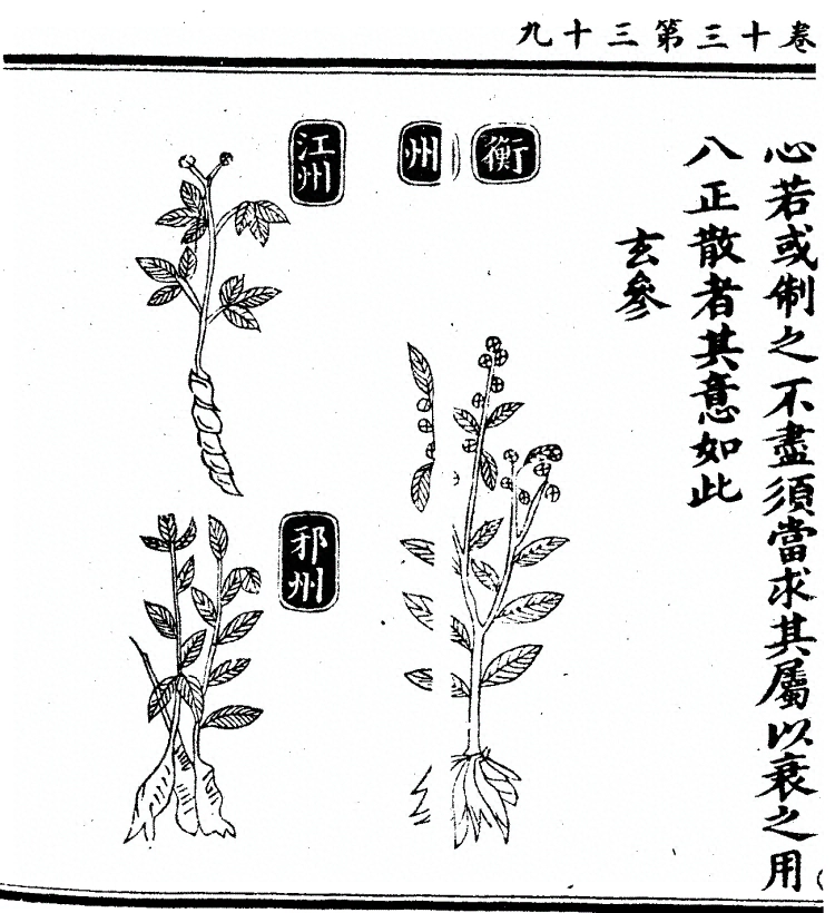 第 1098 页