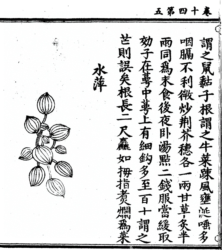 第 1117 页