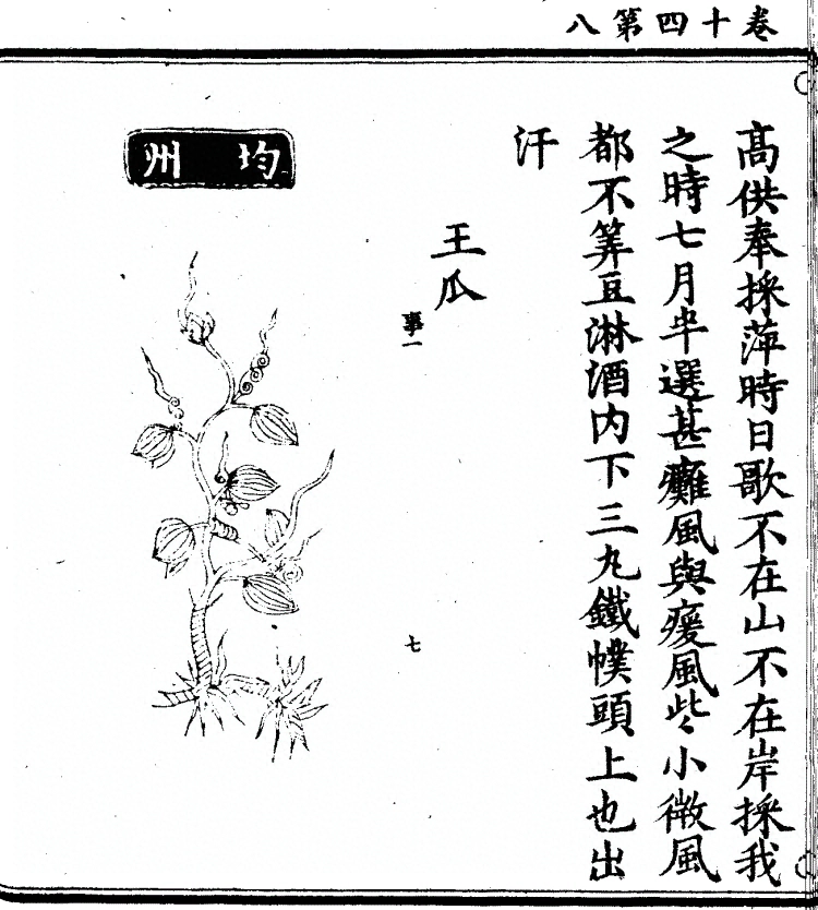 第 1123 页