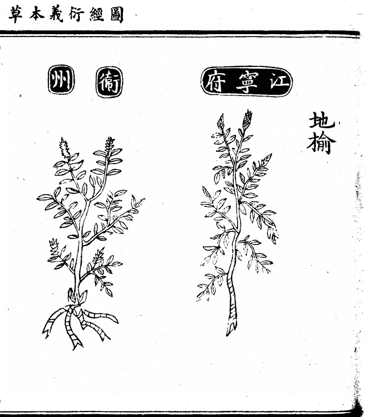 p. 1130