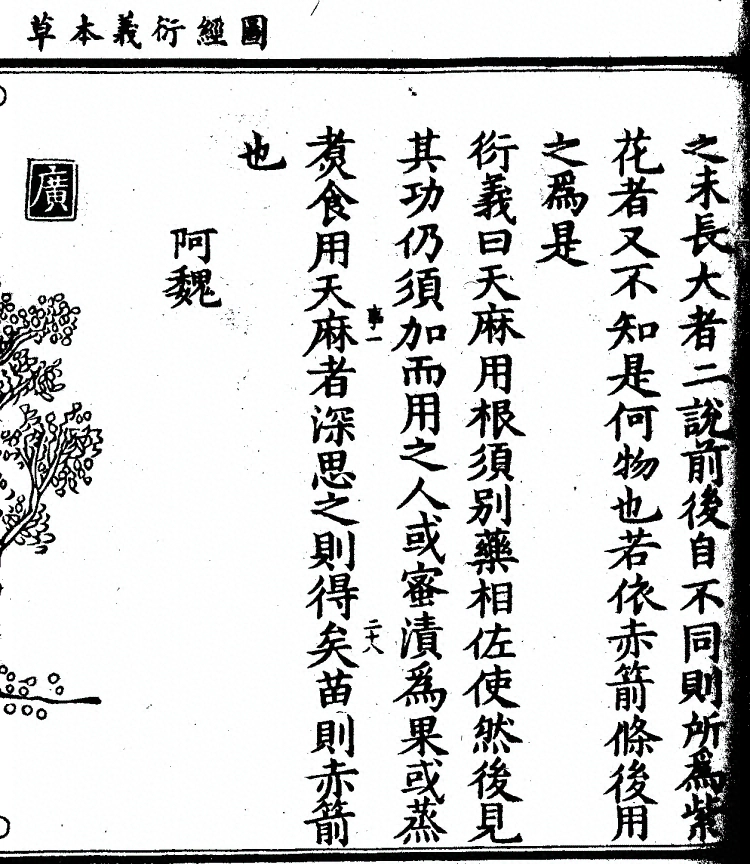 第 1176 页