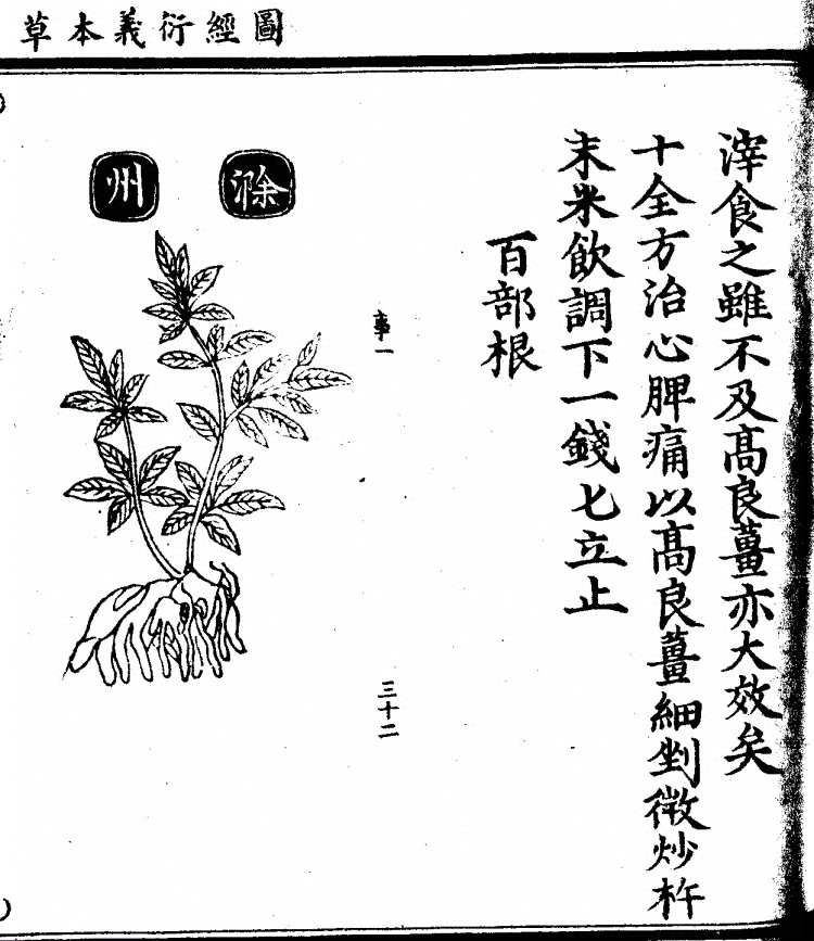 第 1186 页