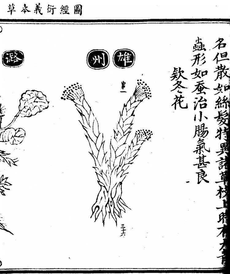 第 1196 页