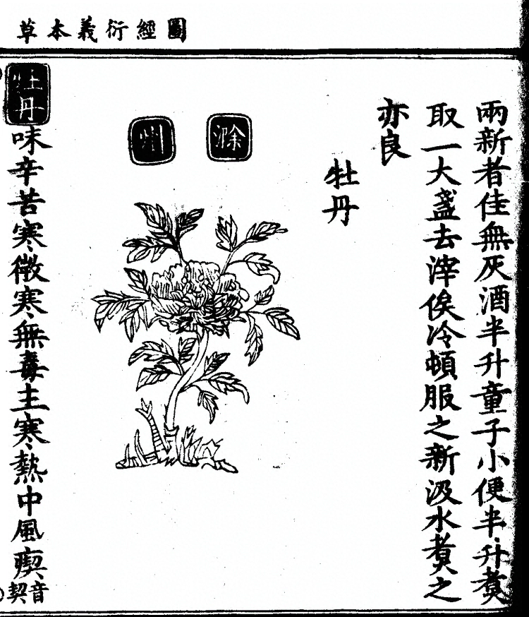 p. 1208